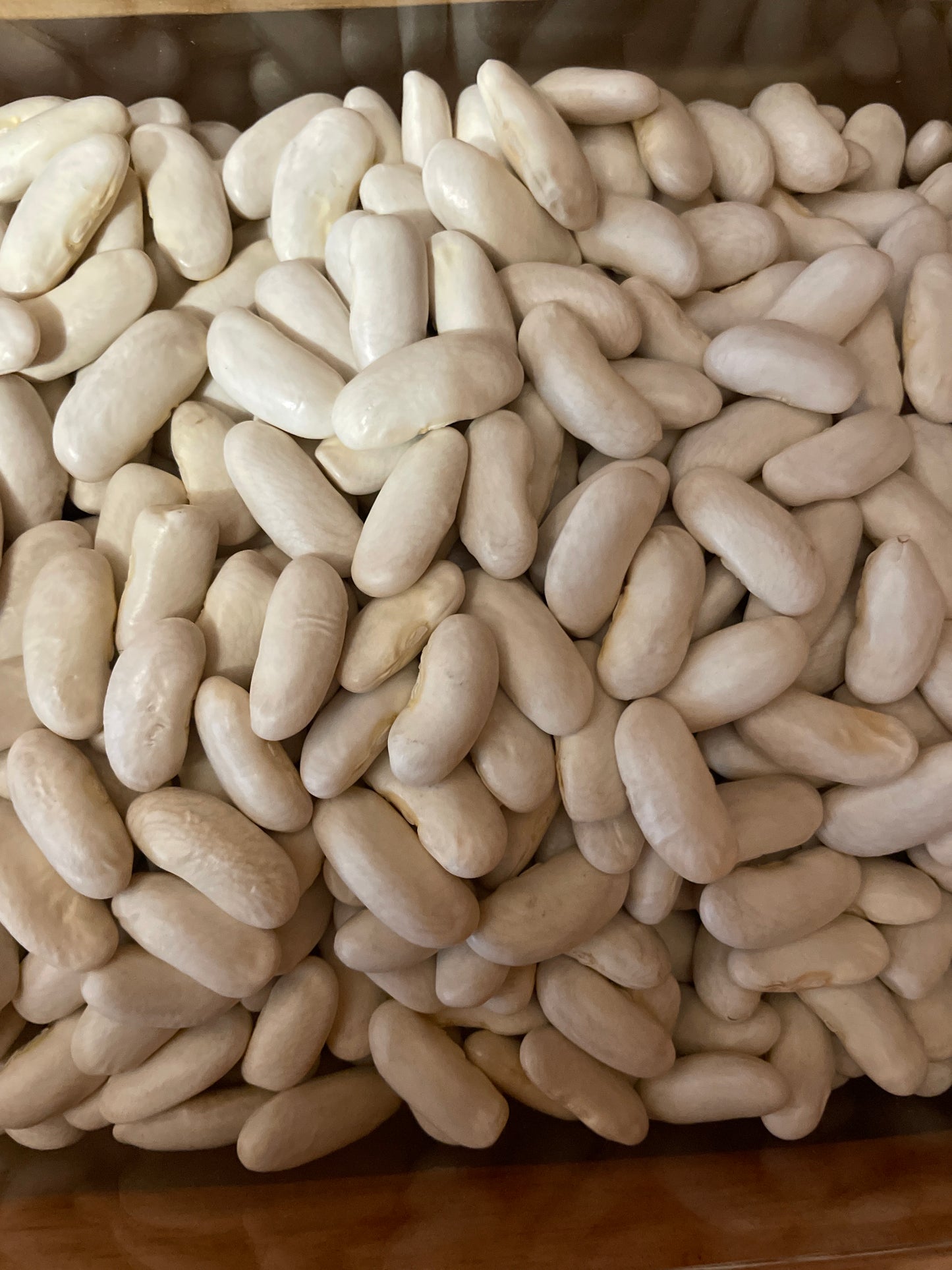 ALUBIA GALAICA, O: Galicia