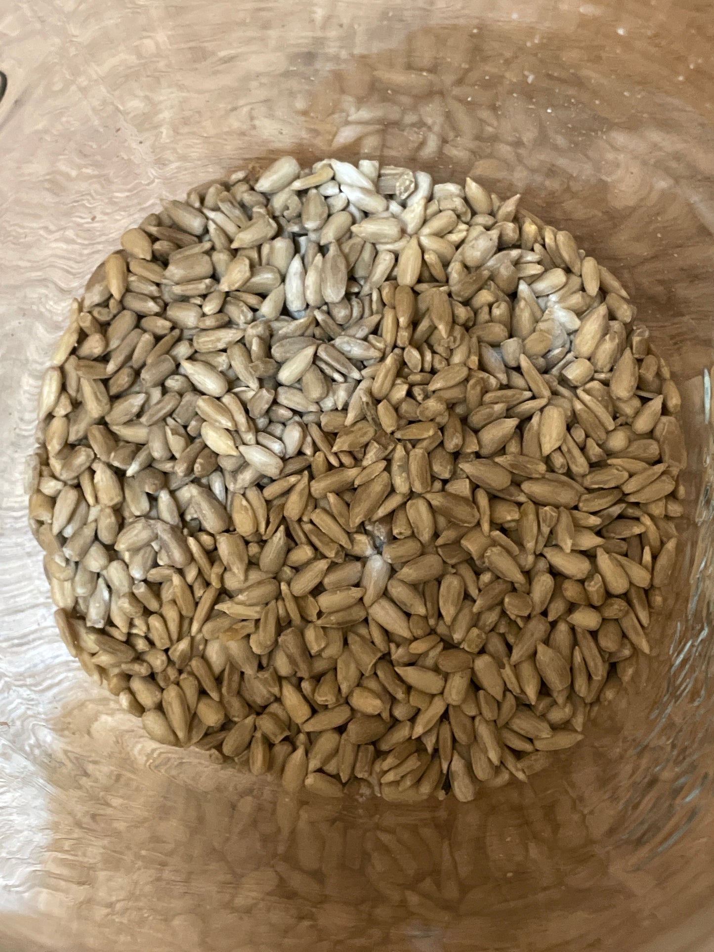 PIPAS DE GIRASOL PELADA CRUDA