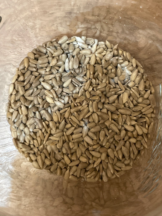 PIPAS DE GIRASOL PELADA CRUDA