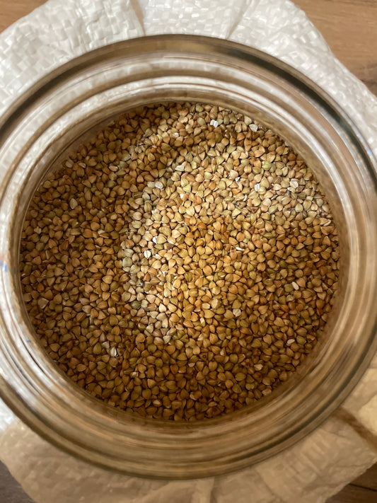 Trigo Sarraceno en Grano