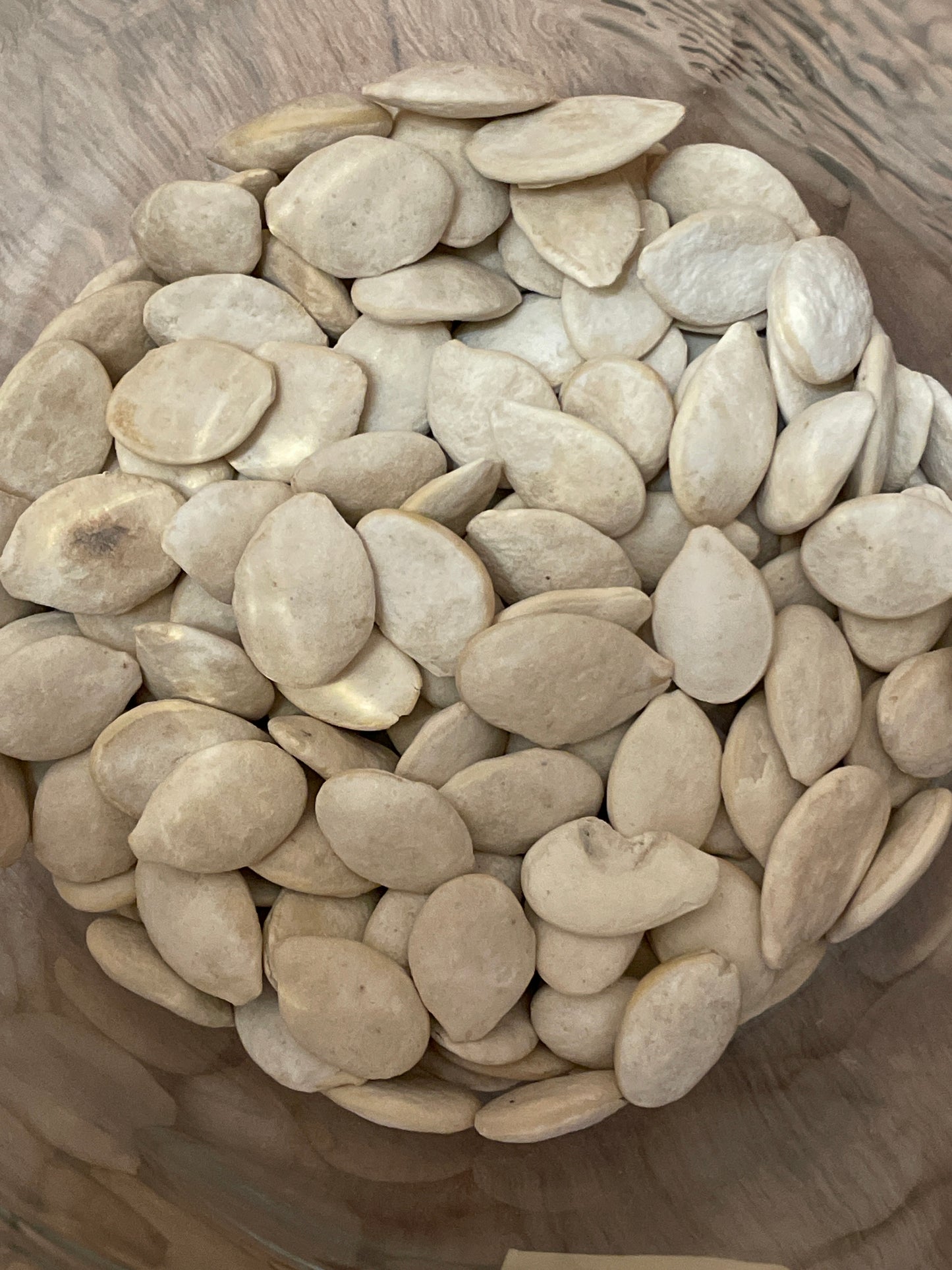 PIPA CALABAZA AGUASAL