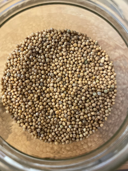 MOSTAZA MARRÓN EN GRANO