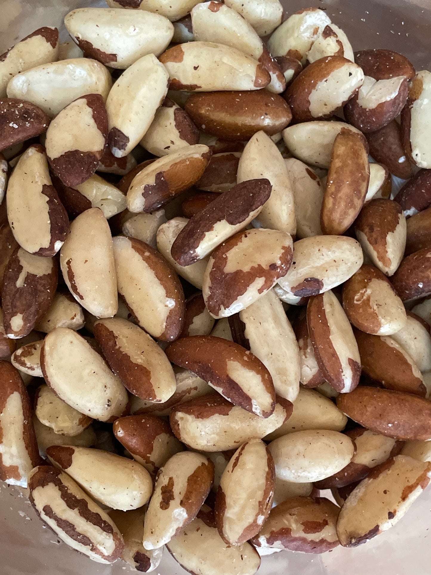 NUEZ DE AMAZONIA (COQUITO) Nuez de Brasil