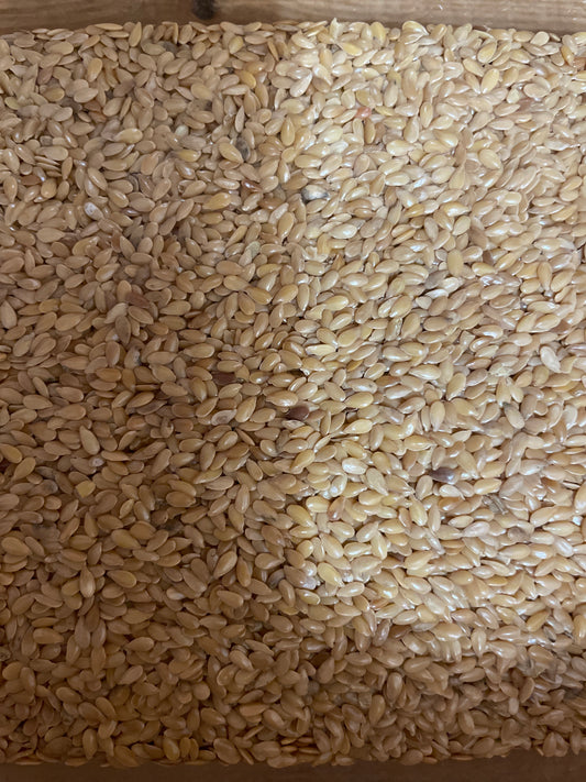 Semilla de LINO DORADO