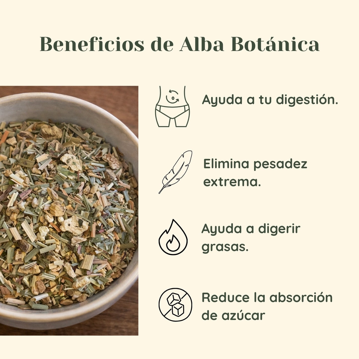 Alba Botánica