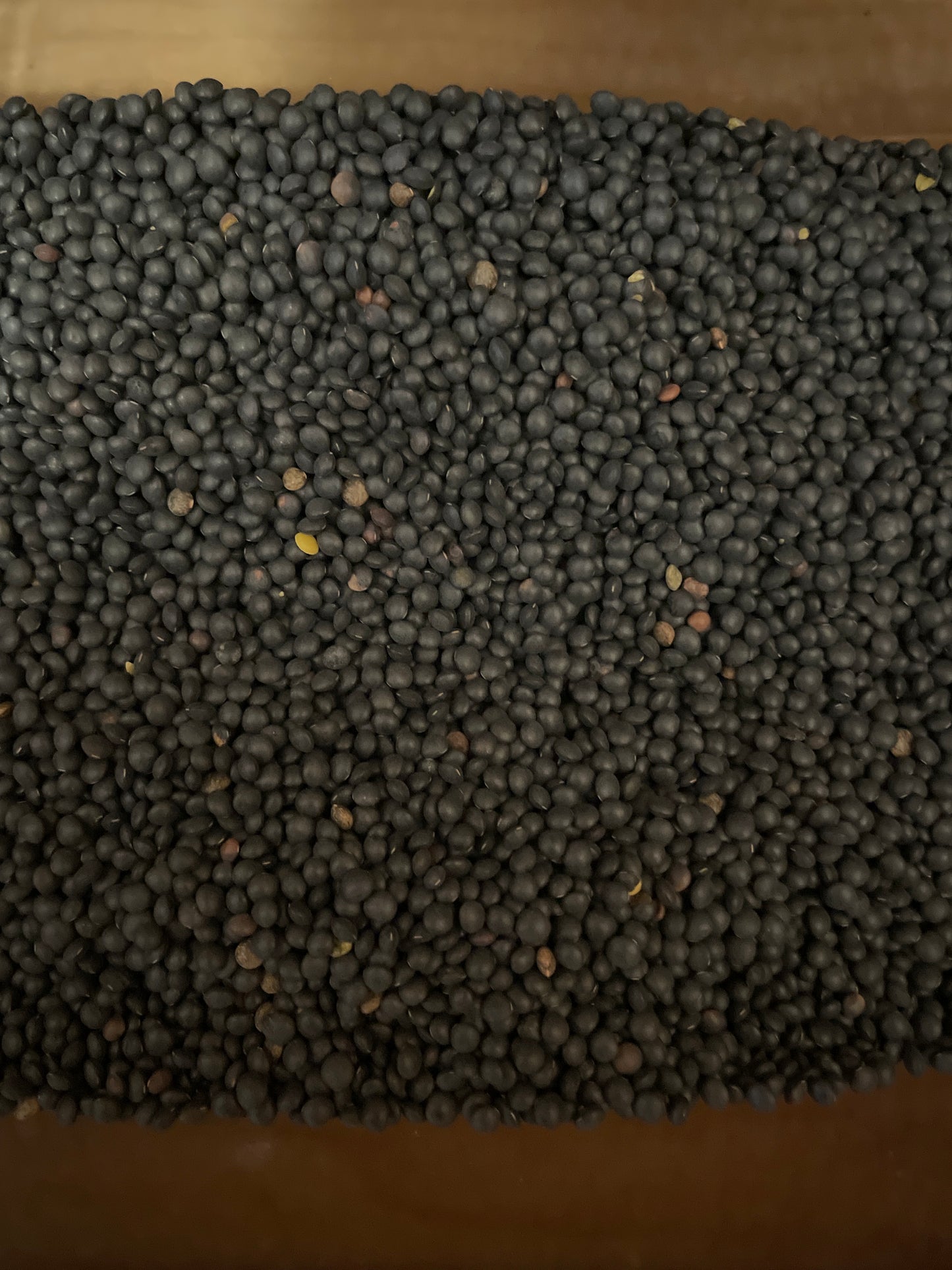 LENTEJA CAVIAR