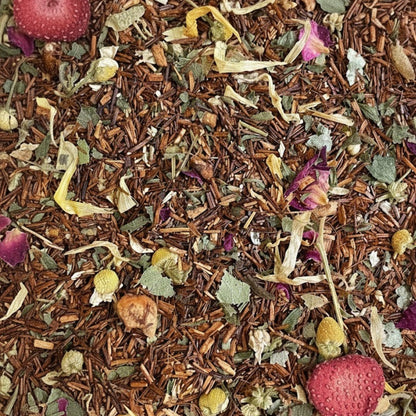 Rooibos Buenas Noches