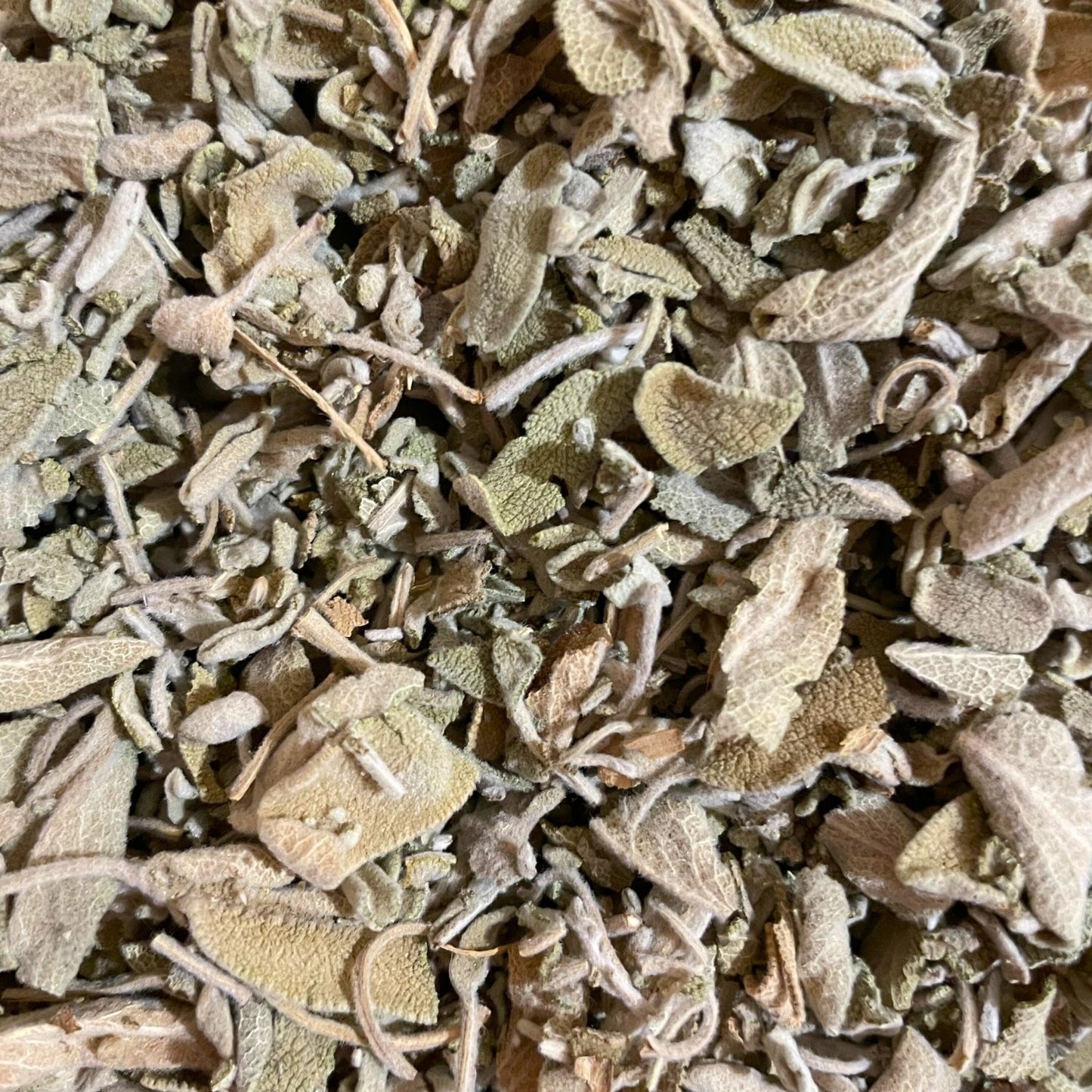 Salvia Hoja