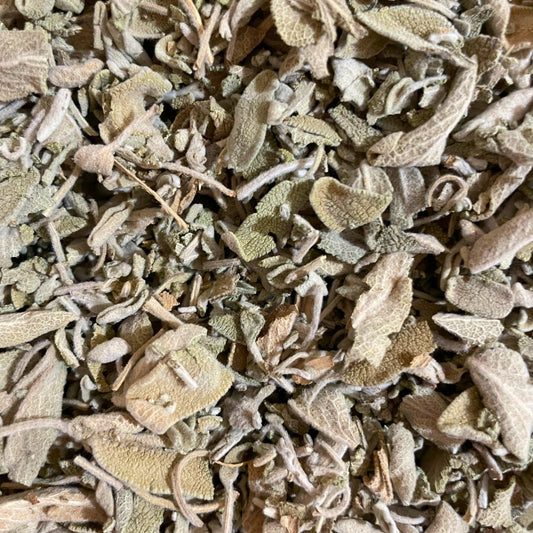 Salvia Hoja