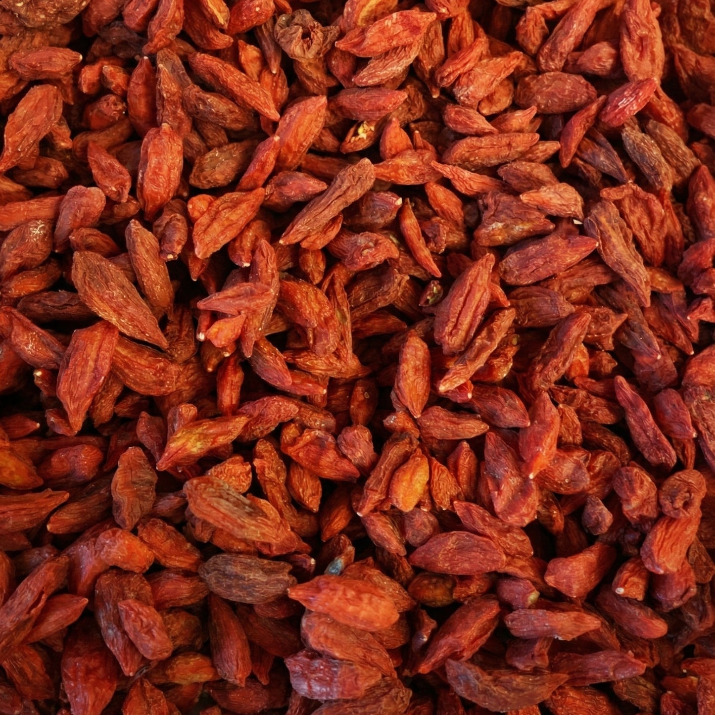 Bayas de Goji