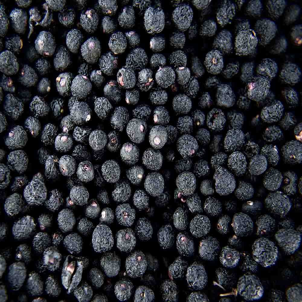 MAQUI BERRY POLVO ECO