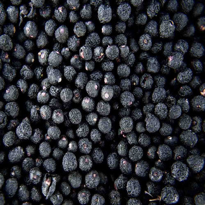 MAQUI BERRY POLVO ECO